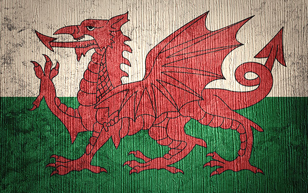Grunge Welsh flag.